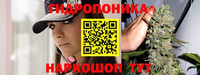 сатива Краснодар