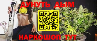 сатива Краснодар