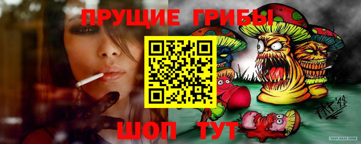 Корсаков  Псилоцибиновые грибы MAGIC MUSHROOMS  Вход с VPN 