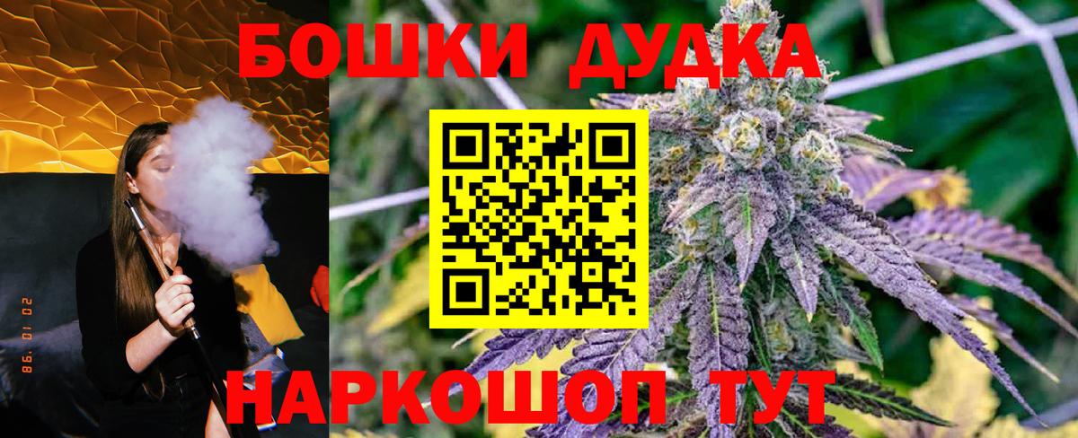 Конопля индика Корсаков